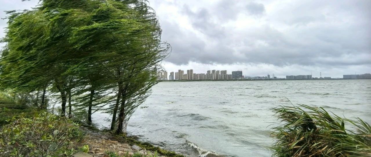 蘇州今天臺(tái)風(fēng)最新消息，風(fēng)雨中的城市動(dòng)態(tài)與應(yīng)對措施